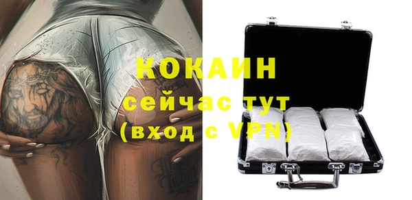 Альфа ПВП Верея