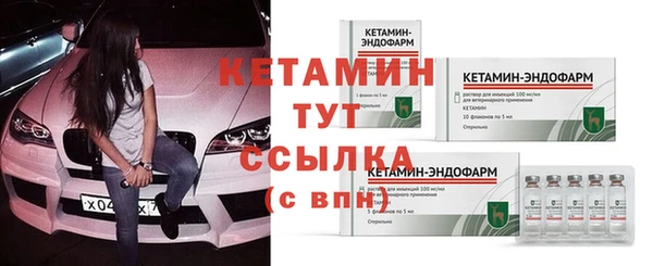 Альфа ПВП Верея